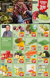 Ähnliche Balkonpflanzen Angebote im Prospekt "Dein Markt" von REWE in Kaufbeuren Ähnliche Angebote wie Balkonpflanzen im Prospekt "Dein Markt" auf Seite 6 von REWE in Kaufbeuren