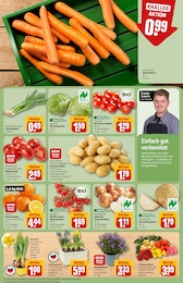 Sträucher Angebot & Preis im aktuellen REWE Prospekt Sträucher Angebot im aktuellen REWE Prospekt auf Seite 7