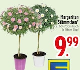 Margeriten Stämmchen  im aktuellen EDEKA Prospekt für 9,99 €