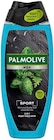 Shower Gel & Cream im Angebot bei Rusta in Erftstadt Shower Gel & Cream Angebote von Palmolive bei Rusta Erftstadt für 1,99 €