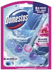App-Coupon von Domestos bei Rossmann im Angebot App-Coupon von Domestos im aktuellen Rossmann Prospekt