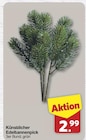 famila Nordwest Friesoythe Prospekt mit  im Angebot für 2,99 €