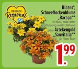 Bidens Angebote bei EDEKA Ravensburg für 1,99 €