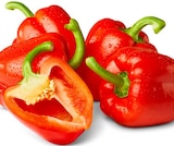 Penny Bocholt - Rote Paprika Angebot im Prospekt Rote Paprika bei Penny im Bocholt Prospekt für 1,79 €