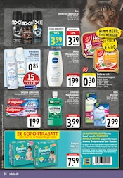 Pampers im E center Prospekt in Witten Aktueller E center Prospekt mit Pampers, "Aktuelle Angebote", Seite 24