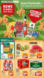 REWE Prospekt für Hofgeismar mit 34 Seiten REWE Prospekt für Hofgeismar: "Dein Markt", 34 Seiten, 30.06.2025 - 05.07.2025