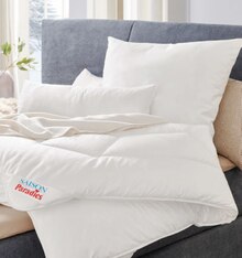 KOPFKISSEN „Softy-Kosmo“ bei Höffner in Bergheim KOPFKISSEN „Softy-Kosmo“ im Angebot bei Höffner Bergheim für 25,00 €