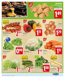 EDEKA Zwiebeln im Prospekt 