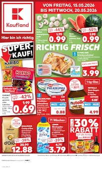 Aktueller Kaufland Prospekt "Aktuelle Angebote" für Dresden Aktueller Kaufland Prospekt für Dresden mit Seiten