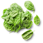 Ital. Blattspinat bei Kaufland im Quickborn Prospekt für 1,99 €