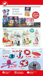 Hundeshampoo Angebote im Prospekt "Mit Leichtigkeit DURCH DEN SOMMER" von Zookauf auf Seite 8