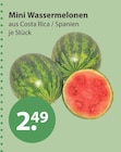 Mini Wassermelonen von  im aktuellen V-Markt Prospekt für 2,49 €