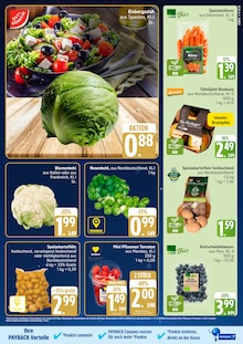 Salat Angebot im EDEKA Prospekt, gültig von 15.12.2025 bis 20.12.2025 Salat Angebot im aktuellen EDEKA Prospekt auf Seite 3