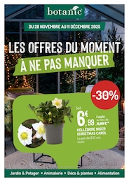 Offre Plante Verte dans le catalogue Botanic du moment à la page 1