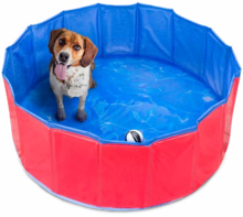 Action Le Havre - Piscine pour chiens Promo Piscine pour chiens dans le catalogue Action "Petits prix, grands sourires" à Le Havre