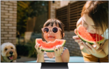 GQ55S93FAE OLED 4K Vision AI Smart TV Angebot in Harrislee GQ55S93FAE OLED 4K Vision AI Smart TV im aktuellen Prospekt bei EURONICS in Harrislee