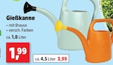 Gießkanne ca. 1.8 Liter für 1,99 € bei Thomas Philipps im Angebot Gießkanne ca. 1.8 Liter im aktuellen Thomas Philipps Prospekt