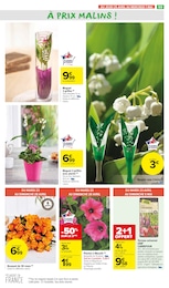 Offre Vase dans le catalogue Carrefour Market du moment à la page 60
