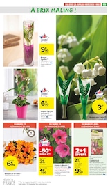 Vase Angebote im Prospekt "Les journées belles et rebelles" von Carrefour Market auf Seite 60