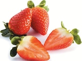 Promo Fraise ronde à 2,29 € dans le catalogue Supermarchés Match à Soultz-sous-Forêts