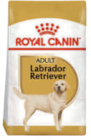 Hundetrockenfutter von Royal Canin im aktuellen toom Baumarkt Prospekt für 62,99 €