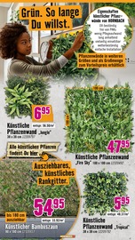 Ähnliche Angebote wie Gartenzaun im Prospekt "Wir sagen Danke." auf Seite 25 von Hornbach in Paderborn