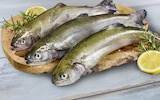 Regenbogenforellen Angebote bei Marktkauf Tübingen für 1,39 €
