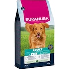 EUKANUBA croquettes pour chien, adulte, grande taille, Agneau 12 kg - EUKANUBA dans le catalogue Maxi Zoo