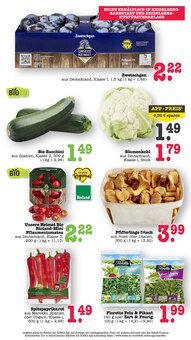 Zucchini im E center Prospekt "Aktuelle Angebote" mit 68 Seiten (Mannheim)