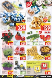Kartoffeln Angebot im aktuellen E center Prospekt auf Seite 4