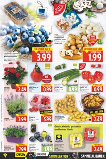 Lavendel im aktuellen E center Prospekt (Berlin) Lavendel im E center Prospekt "Aktuelle Angebote" mit 24 Seiten (Berlin)