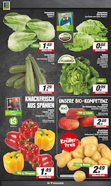 Bio im E center Prospekt in Rheine Aktueller E center Prospekt mit Bio, "Aktuelle Angebote", Seite 7
