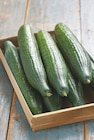 Promo Concombre à 1,58 € dans le catalogue Intermarché à Quissac