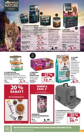 Wild im Dehner Garten-Center Prospekt in Hofheim Aktueller Dehner Garten-Center Prospekt mit Wild, "GRÜNE OASE", Seite 15