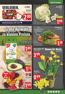 Blumen im EDEKA Prospekt "Aktuelle Angebote" mit 24 Seiten (Wuppertal)
