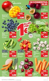 Pilze im Kaufland Prospekt KNÜLLER auf S. 10