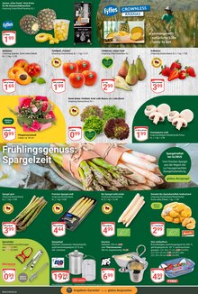 Gemüse im GLOBUS Prospekt "Aktuelle Angebote" mit 24 Seiten (Braunschweig)