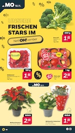 Netto mit dem Scottie Himbeeren im Prospekt 