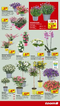 Blumenerde Angebot im aktuellen toom Baumarkt Prospekt auf Seite 5