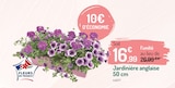 Jardinière anglaise - Botanic à Saint-Maur-des-Fossés Jardinière anglaise en promo chez Botanic Saint-Maur-des-Fossés à 16,99 €