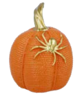 Halloween-Dekoration im ALDI SÜD Prospekt Halloween-Dekoration von JES COLLECTION im aktuellen ALDI SÜD Prospekt für 1,00 €