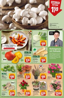 Pflanzen im REWE Prospekt "Dein Markt" mit 40 Seiten (Braunschweig)