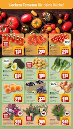 Blumen Angebot & Preis im aktuellen REWE Prospekt Blumen Angebot im aktuellen REWE Prospekt auf Seite 5