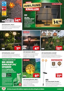 Solarlampe im Hagebaumarkt Prospekt "UNSERE JUBILÄUMS KNALLER" mit 24 Seiten (Mainz)