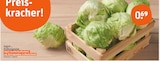 Eisbergsalat im tegut Prospekt Eisbergsalat von tegut im aktuellen tegut Prospekt für 0,69 €