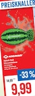 Splash Ball Wassermelone Angebote von Schildkröt bei Kaufhaus Stolz Neubrandenburg für 9,99 €