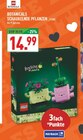 Aktuelles Botanicals Schaukelnde Pflanzen Angebot bei Marktkauf in Münster ab 14,99 €