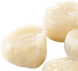 MSC Kammmuschelfleisch  im aktuellen METRO Prospekt für 48,67 €