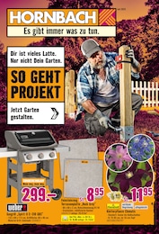 Hornbach Prospekt für Hochheim mit 33 Seiten Hornbach Prospekt "Dir ist vieles Latte. Nur nicht Dein Garten." für Hochheim, 33 Seiten, 25.06.2025 - 23.07.2025