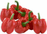 Aktuelles Paprika rot Angebot bei aktiv & irma in Oldenburg ab 3,77 €